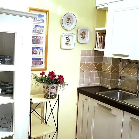 Sunflower Apartment Viterbo